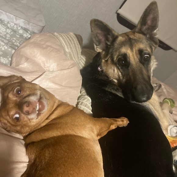 🍊🫐🍅SHARE SHOw LIVE/NUTRITION FUN 🍎🥑🌮🥯 - Picture 6 of 9